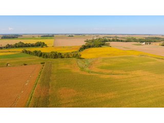 Property photo 2 - PRIME LAND AUCTION - 244+/- ACRES OFFERED IN 4 TRACTS IN UNION CO., IN & PREBLE CO., OH